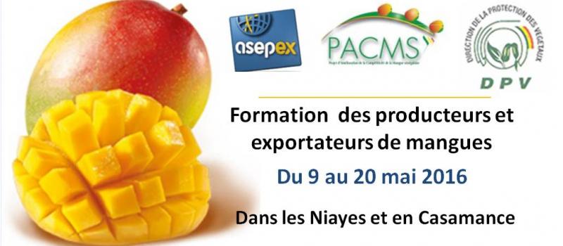 PACMS - ASEPEX: formation producteurs de mangues