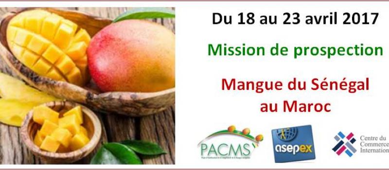 La mangue du Sénégal vers le marché marocain
