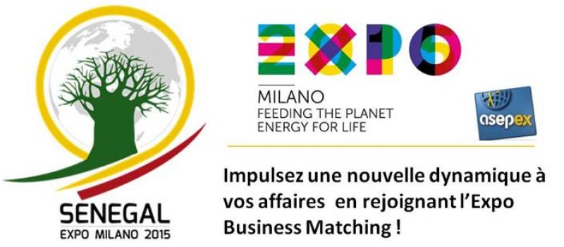 Expo Business Matching